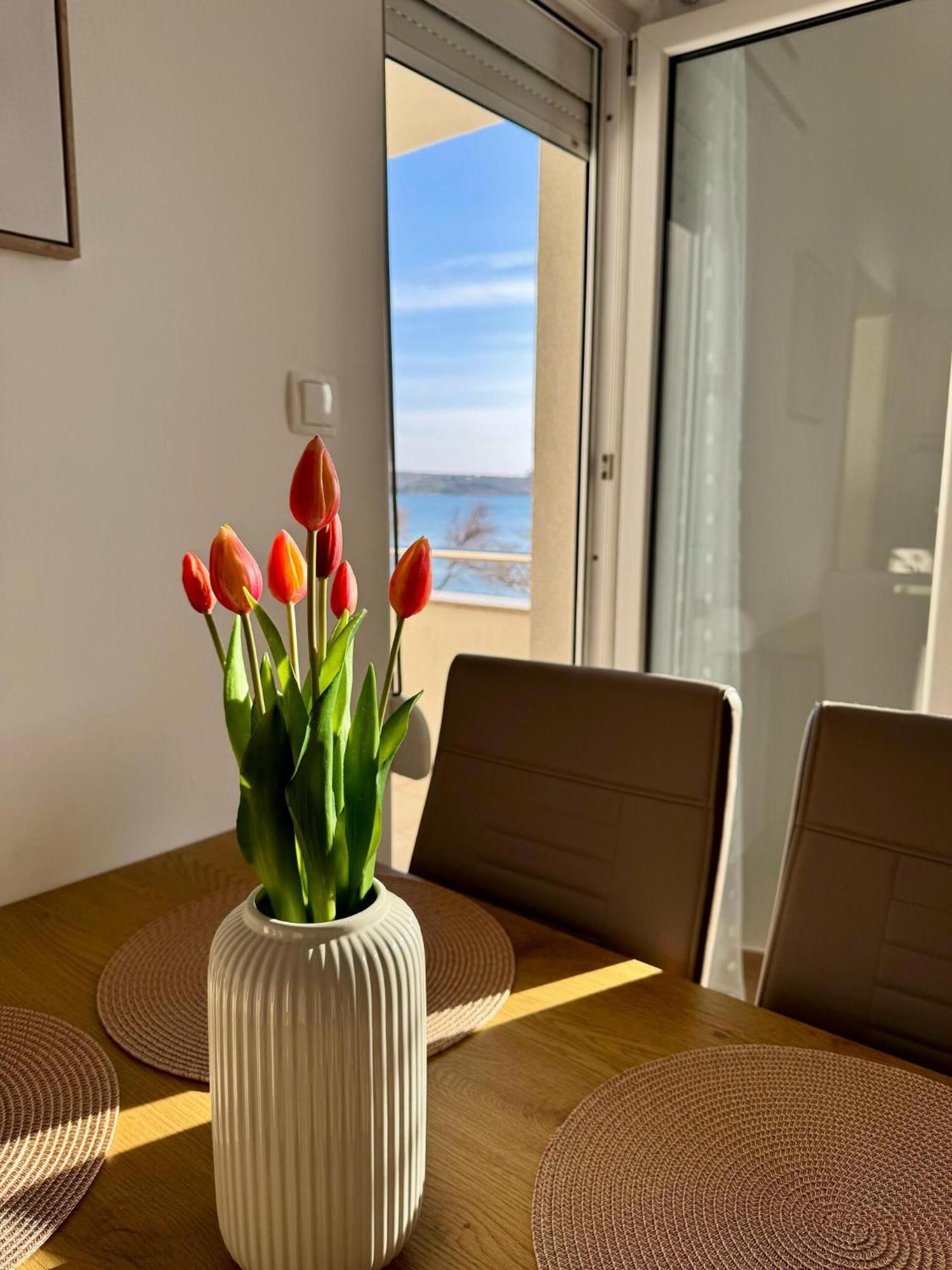 Apartments Franko Povljana Εξωτερικό φωτογραφία